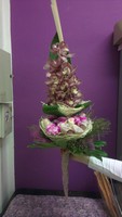 Cymbidium III